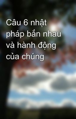 Câu 6 nhật pháp bắn nhau và hành động của chúng