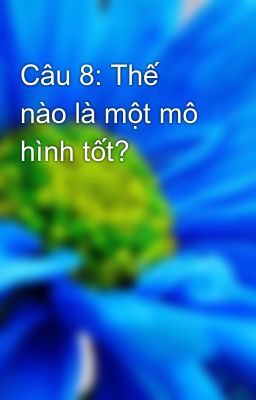 Câu 8: Thế nào là một mô hình tốt?