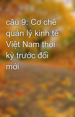 câu 9: Cơ chế quản lý kinh tế Việt Nam thời kỳ trước đổi mới