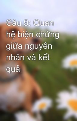 Câu 9: Quan hệ biện chứng giữa nguyên nhân và kết quả