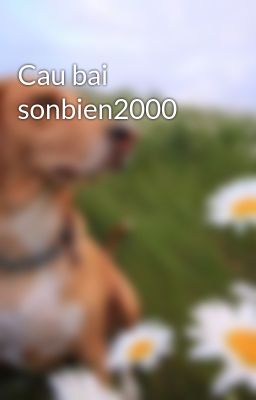 Cau bai sonbien2000