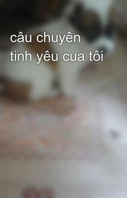 câu chuyên tinh yêu cua tôi