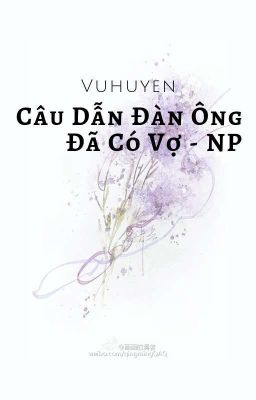 Câu Dẫn Đàn Ông Đã Có Vợ - NP