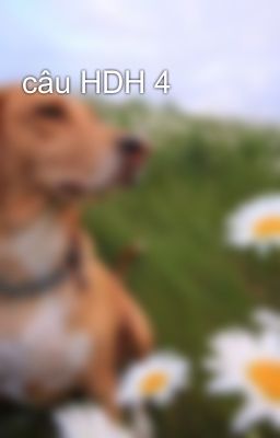 câu HDH 4