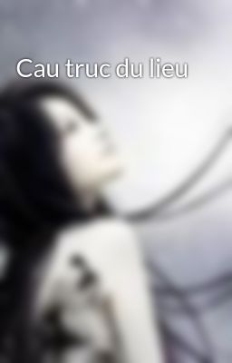 Cau truc du lieu