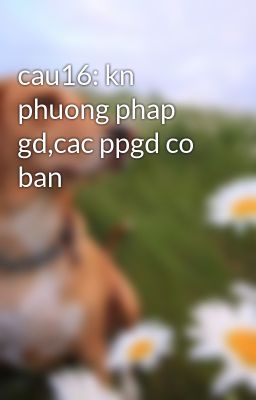 cau16: kn phuong phap gd,cac ppgd co ban