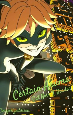 Certain Akuma {Cat Noir X  Reader}