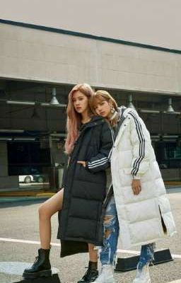 (Chaelisa) Chồm Sao Bắc Đẩu 