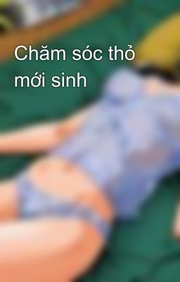 Chăm sóc thỏ mới sinh