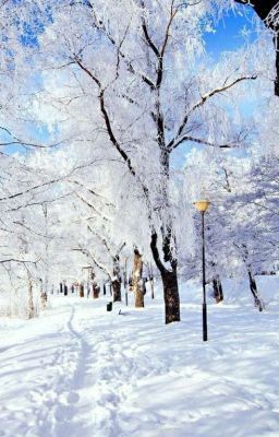 [ ChanBaek ] Tuyết rơi mùa hạ