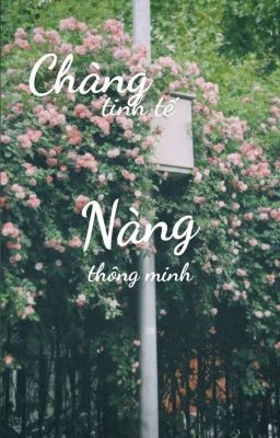 Chàng Tinh Tế Nàng Thông Minh 