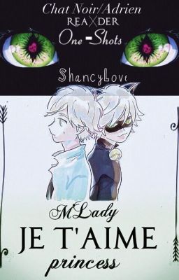 Chat Noir/Adrien X Reader One-shots