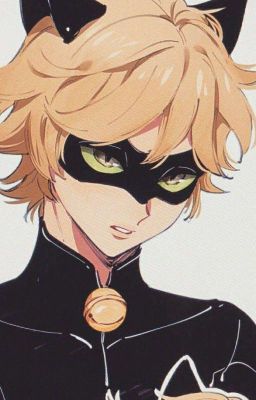 Chat Noir:Nuevo Comienzo [Tierra Ultimate]