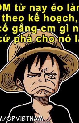 chế one piece