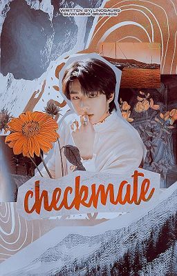 CHECKMATE | stray kids × bts af