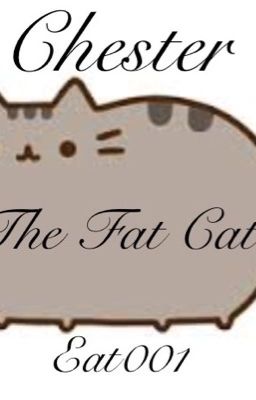 Chester, The Fat Cat