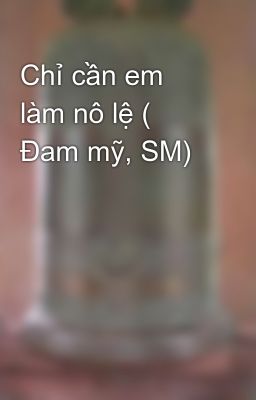 Chỉ cần em làm nô lệ ( Đam mỹ, SM)