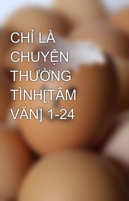 CHỈ LÀ CHUYỆN THƯỜNG TÌNH[TÂM VĂN] 1-24