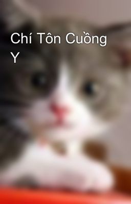 Chí Tôn Cuồng Y