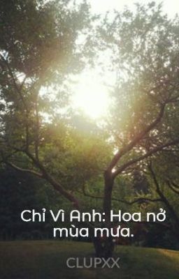 Chỉ Vì Anh: Hoa nở mùa mưa.