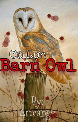 Chim Lợn - Barn Owl