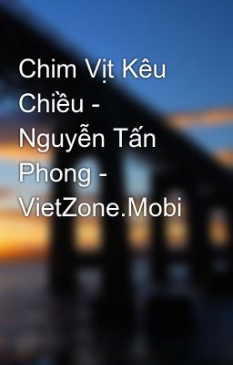 Chim Vịt Kêu Chiều - Nguyễn Tấn Phong - VietZone.Mobi