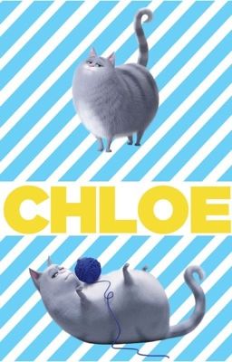 Chloe's Music Album