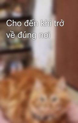 Cho đến khi trở về đúng nơi