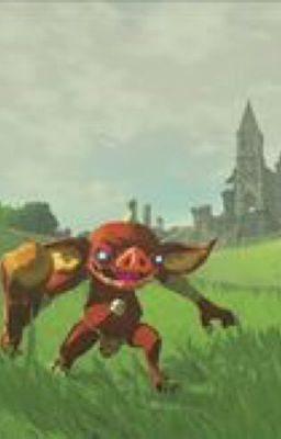 Chroniques d'un bokoblin [ABANDONNÉE]