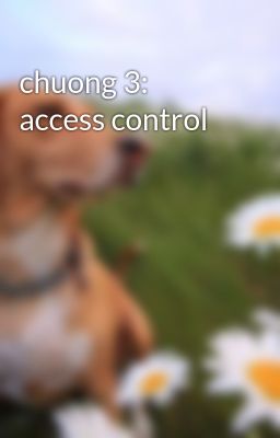chuong 3: access control