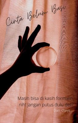 Cinta Belum Basi