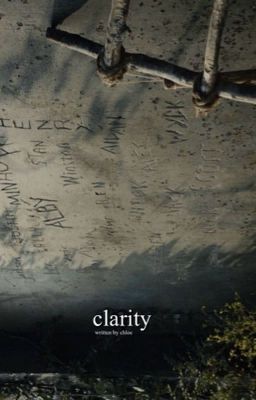 CLARITY, (newt.)