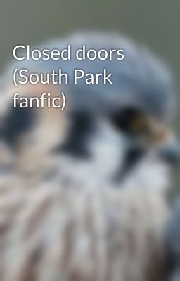 Closed doors (South Park fanfic)