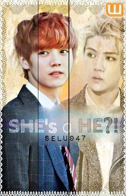 Cô ấy là con trai? (HunHan)