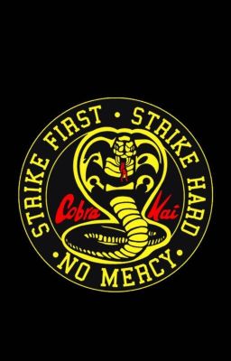 Cobra kai: mi version