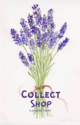 Collect Shop [Lavender Team]
