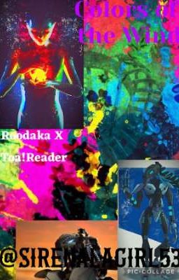 Colors of the Wind (Roodaka X Toa!Reader)