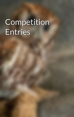 Competition Entries