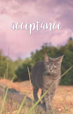 (COMPLETED) acceptance • a short warriors story