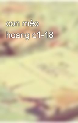 con mèo hoang c1-18