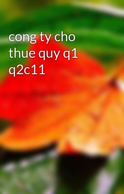 cong ty cho thue quy q1 q2c11