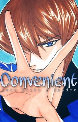 Convenient | Seto Kaiba x Reader [Yu☆Gi☆Oh!]