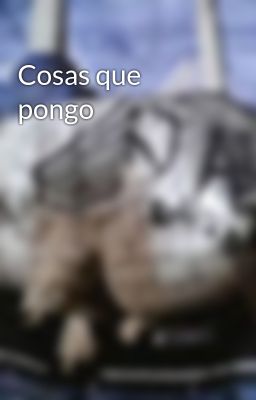 Cosas que pongo