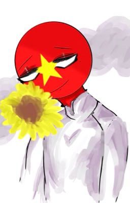 [Countryhumans AllVietnam] Diary