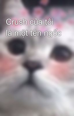 Crush của tôi là một tên ngốc