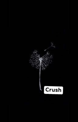 { Cự Giải - Xử Nữ } Crush ❤️