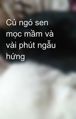 Củ ngó sen mọc mầm và vài phút ngẫu hứng