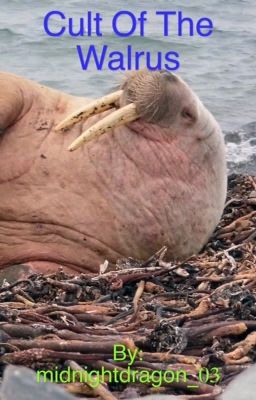 Cult Of The Walrus