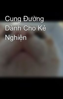 Cung Đường Dành Cho Kẻ Nghiện