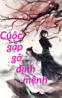 Cuộc gặp gỡ định mệnh